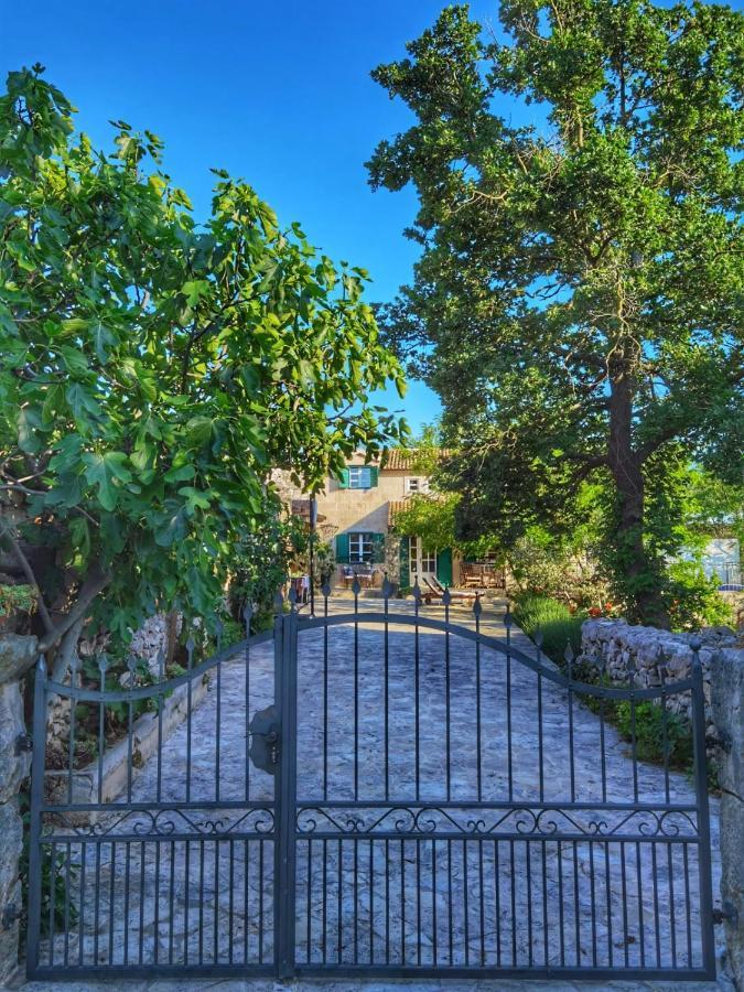 Villa Dvori Dida Mile Sveti Petar  Bagian luar foto
