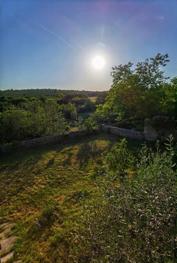 Villa Dvori Dida Mile Sveti Petar  Bagian luar foto