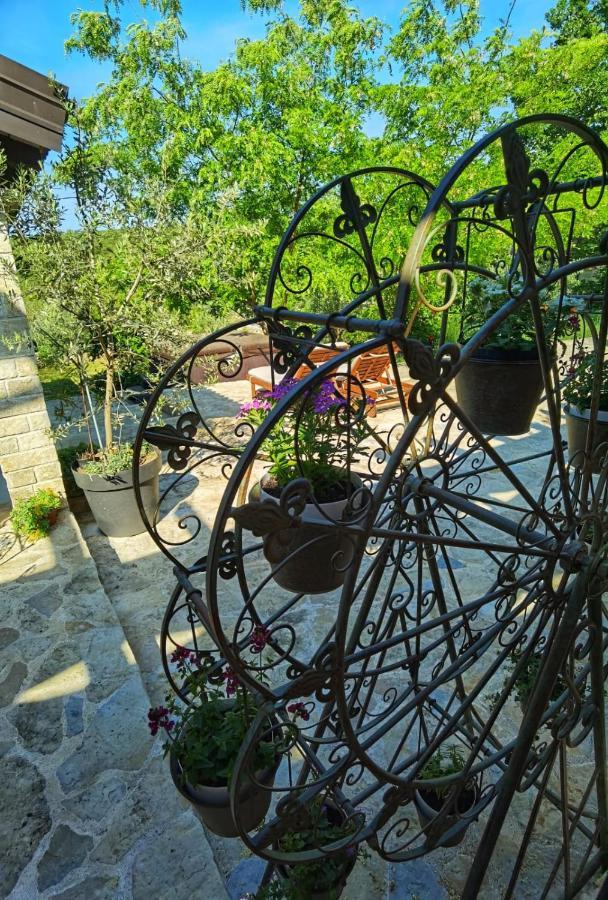 Villa Dvori Dida Mile Sveti Petar  Bagian luar foto