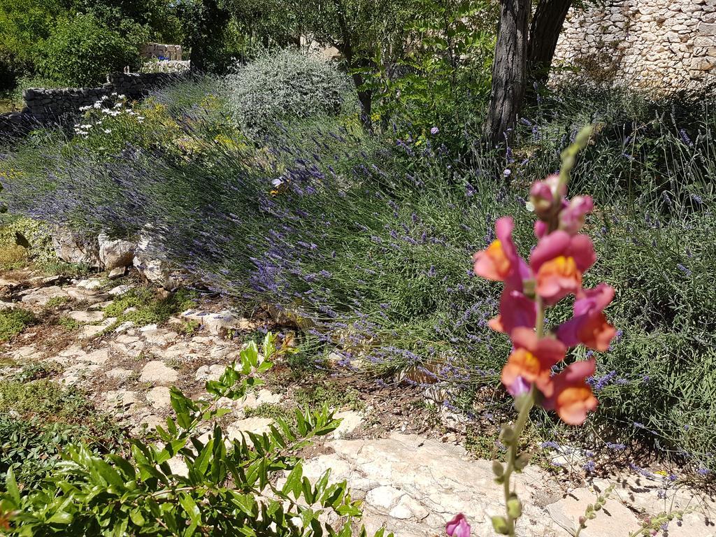 Villa Dvori Dida Mile Sveti Petar  Bagian luar foto