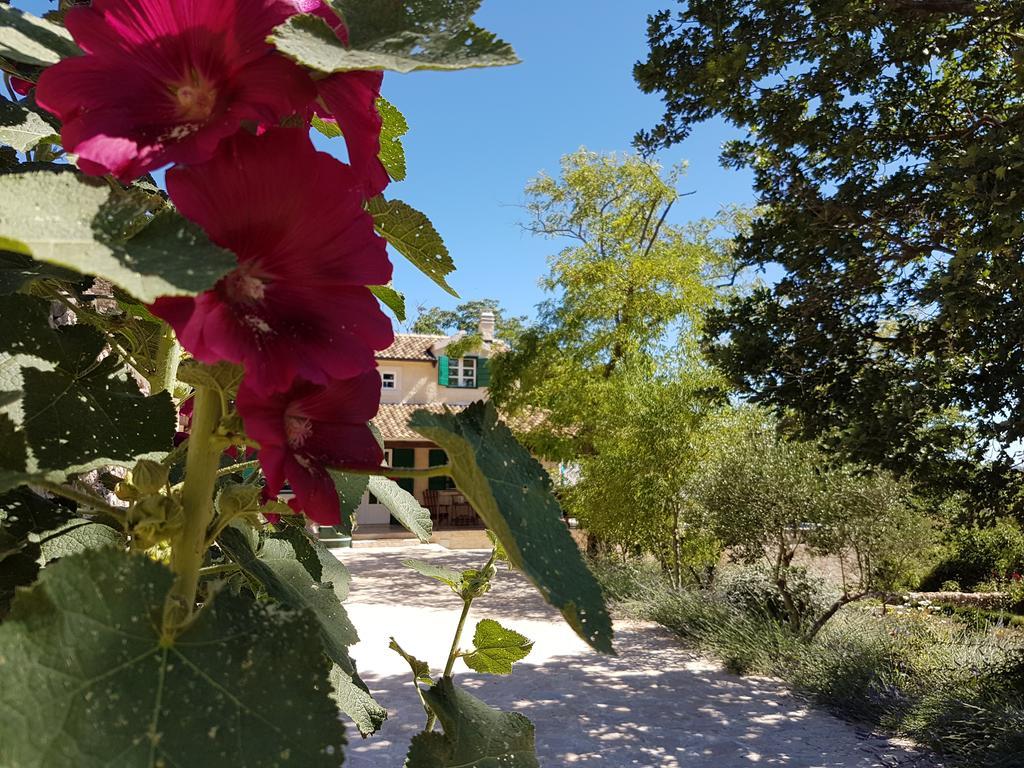 Villa Dvori Dida Mile Sveti Petar  Bagian luar foto
